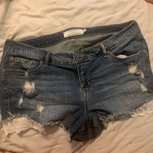 Torrid lace short